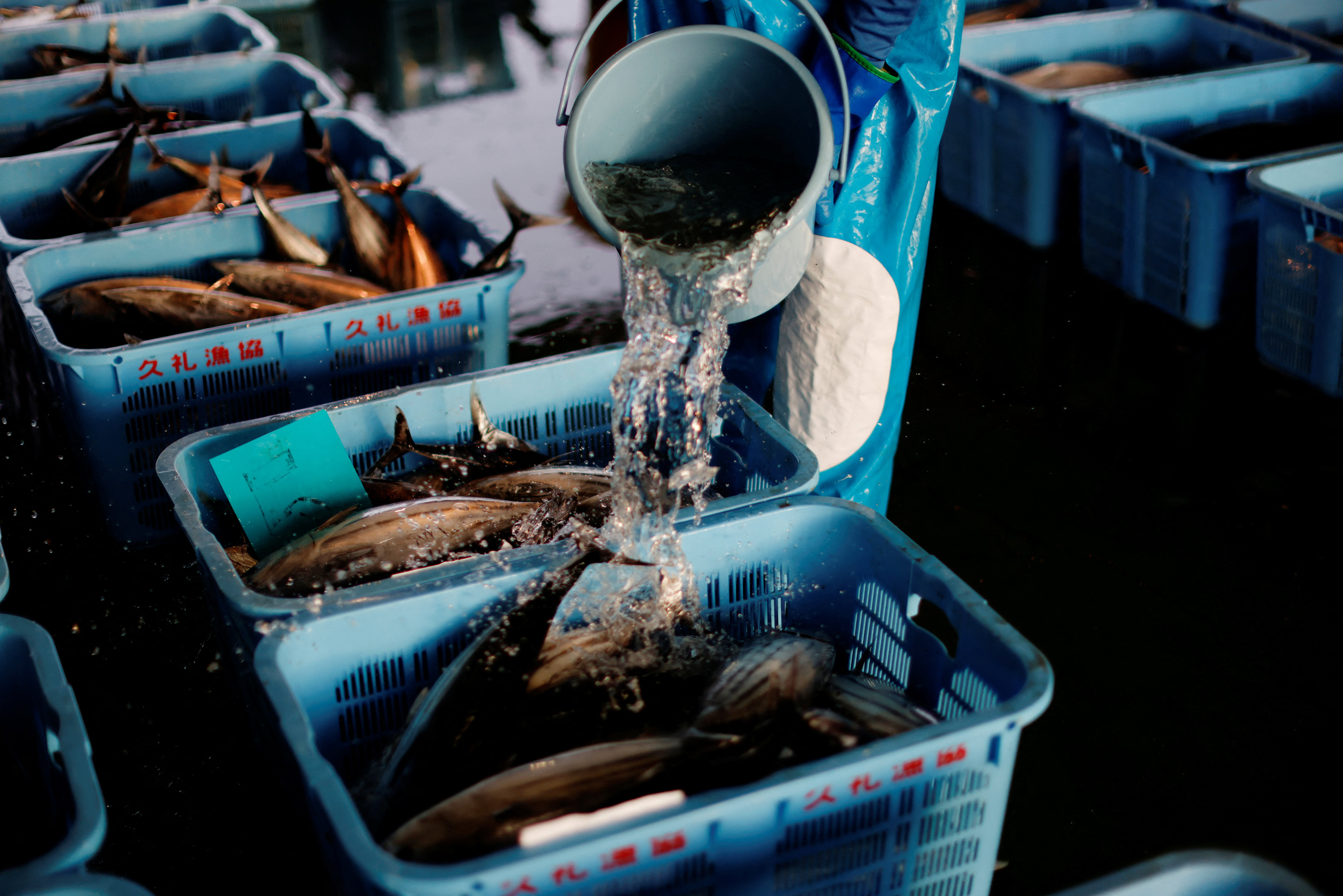 A worker pours water on boxes filled with katsuo before a wholesale auction at Kure Port