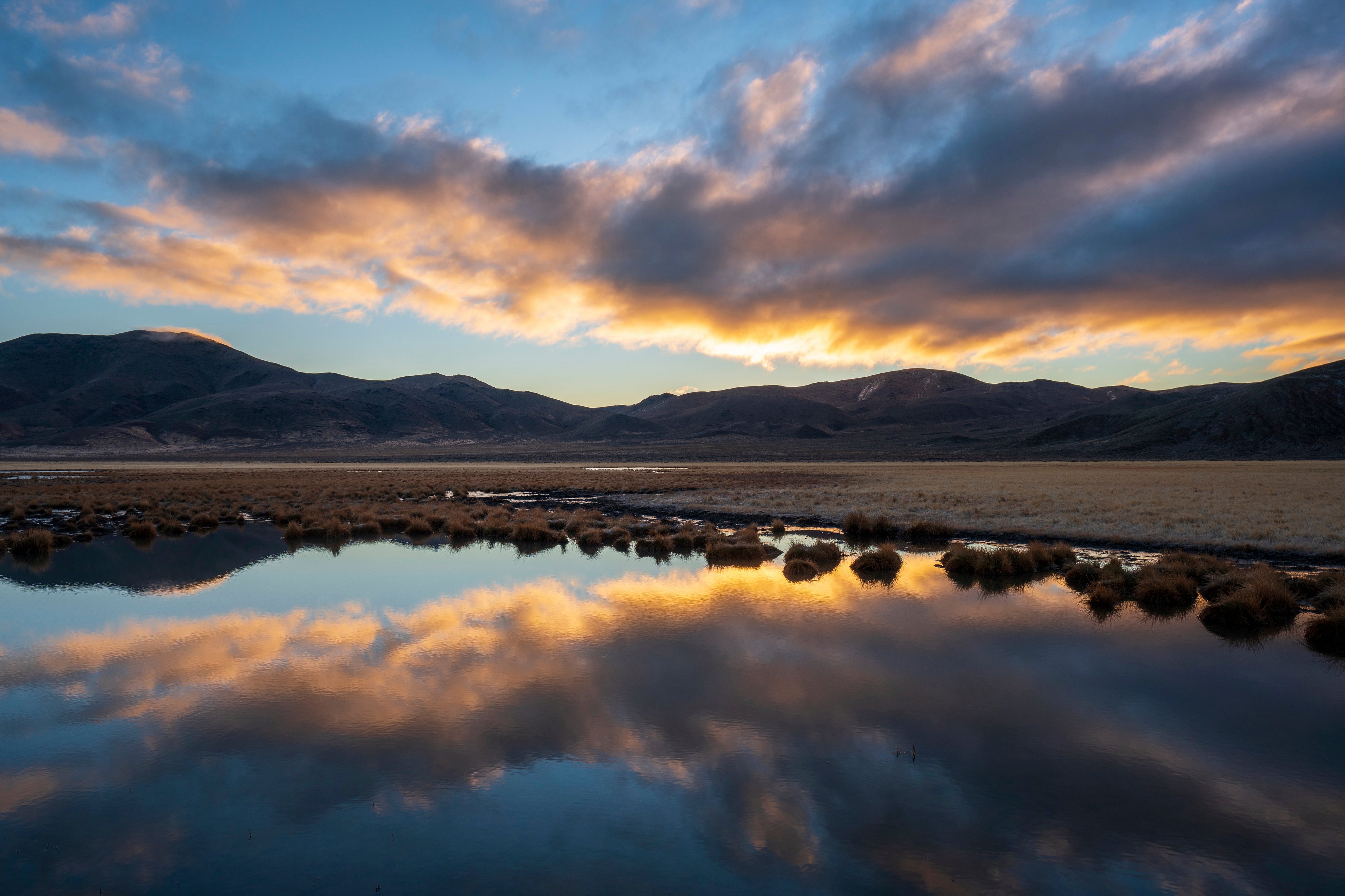 Rare Butterfly Geothermal Project
