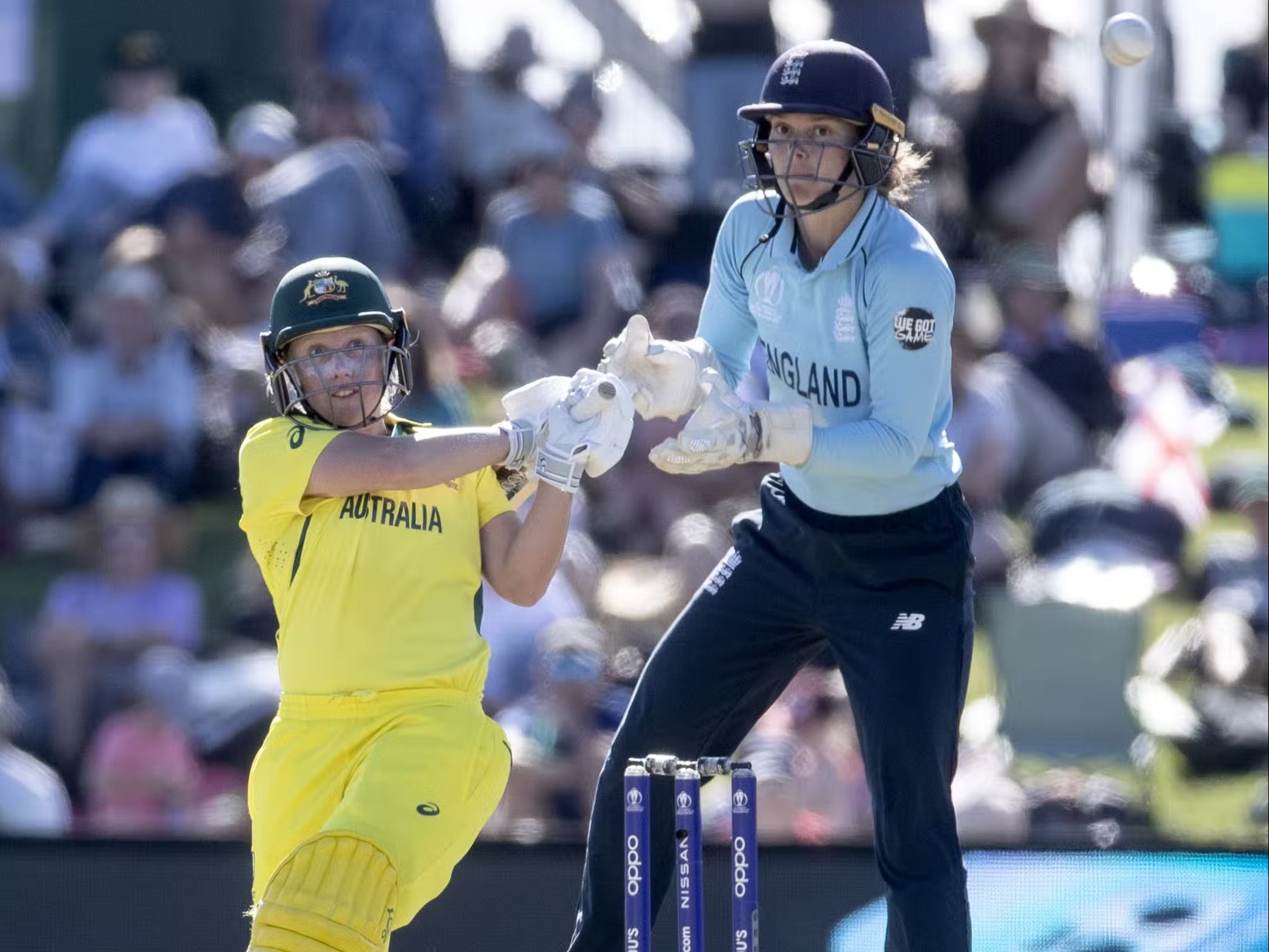 Australia’s Rachael Haynes was one of Deandra Dottin’s scalps (PA)