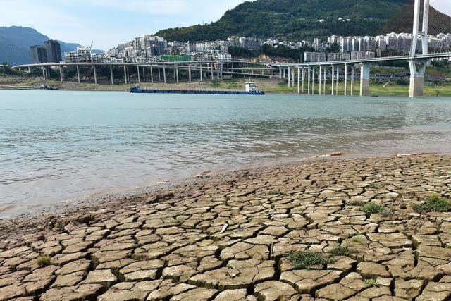 <p>A dried riverbed is exposed after the water level dropped in the Yangtze River in Yunyang county in southwest China</p>