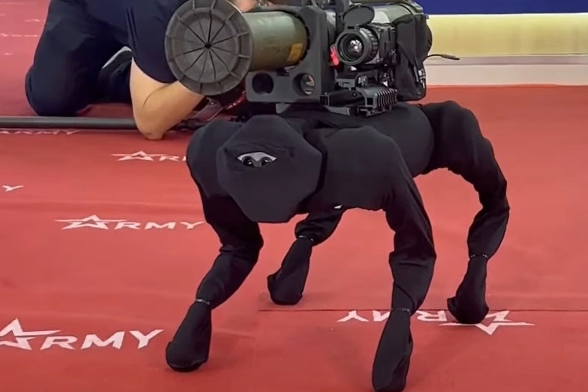 Russian robot dog armed with rockets appears to be modified Chinese pet bot