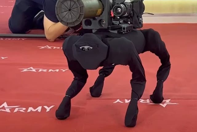 <p> An M-81 robot dog, armed with an RPG-26 was unveiled at Russia’s annual Army-2022 international arms expo Monday, 15 August, 2022</p>