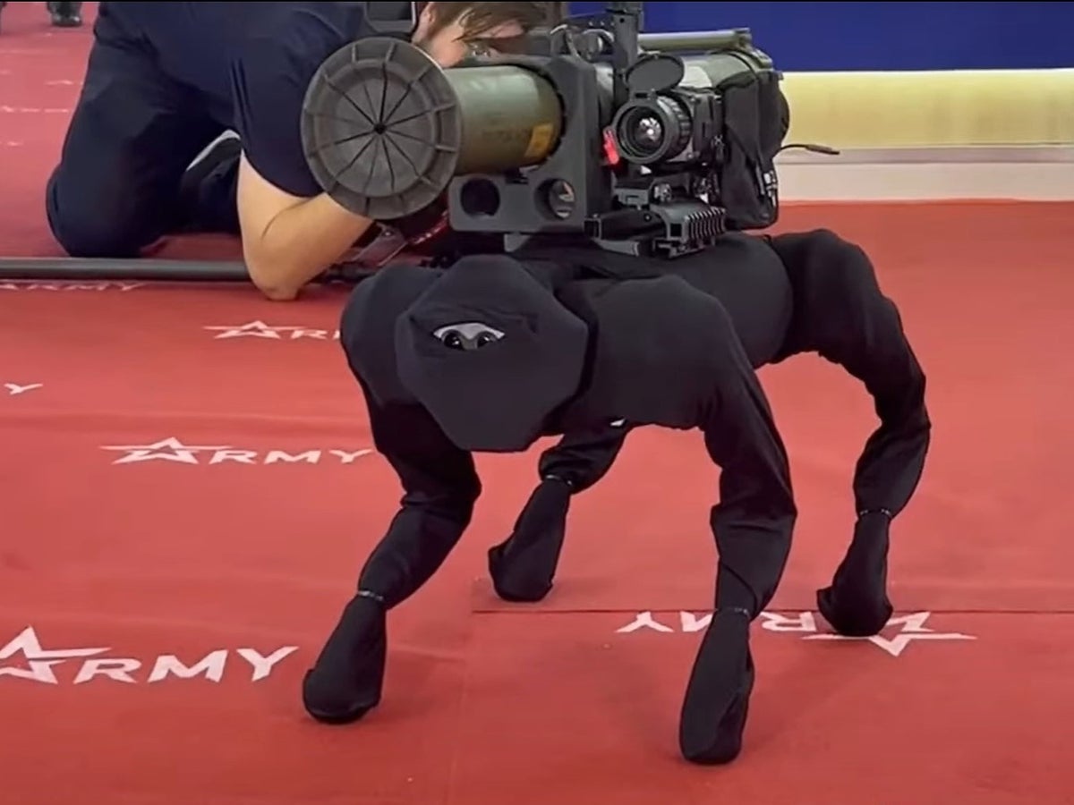 Russian robot dog armed with rockets appears to be modified Chinese pet bot