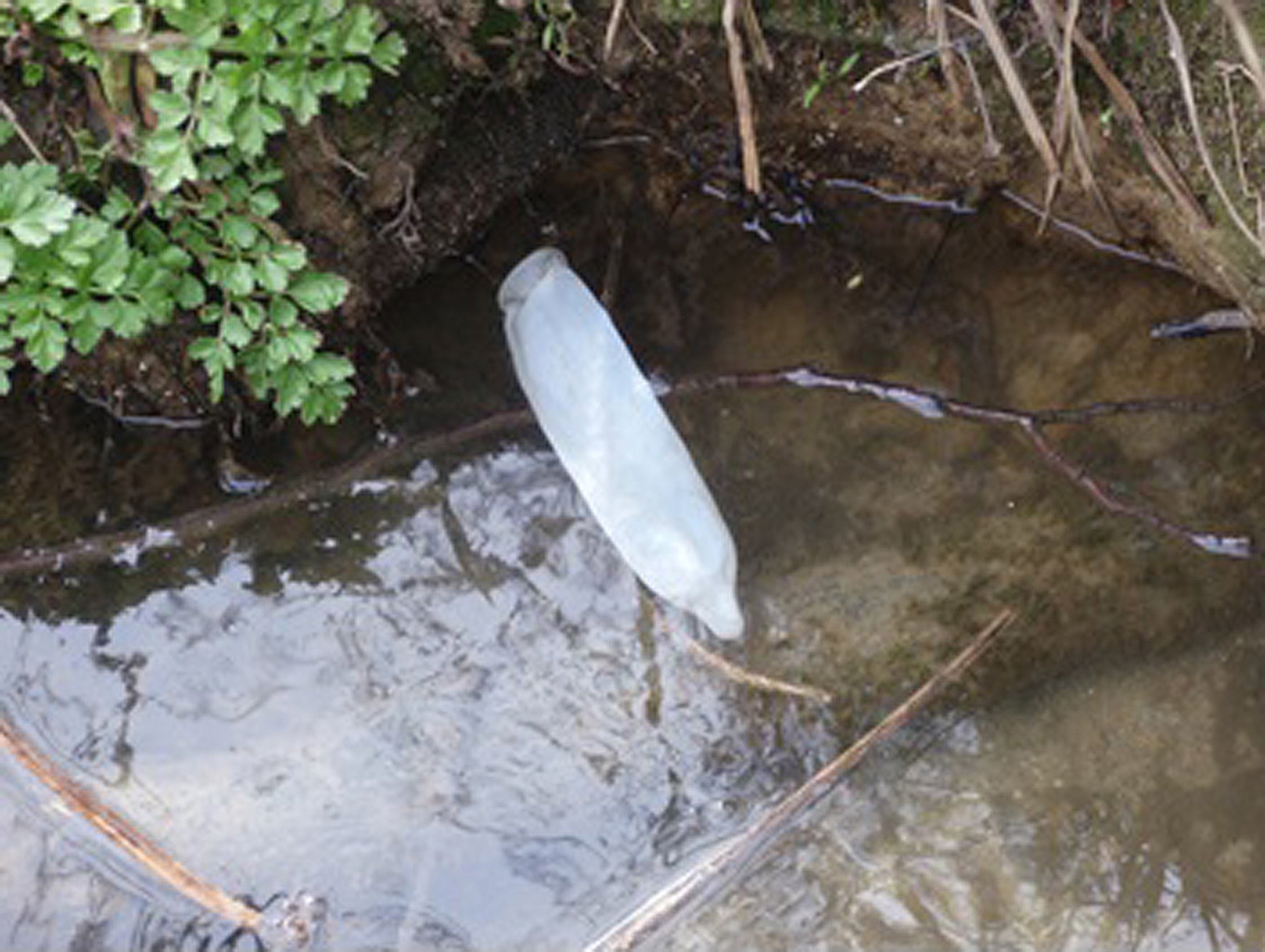 Thames Water has previously been fined ?32.4 million for sewage spills