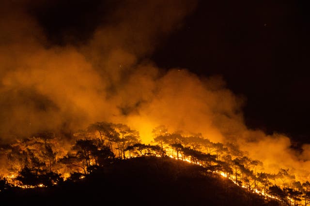 <p>Wildfire burns through a forest in Turkey last August</p>