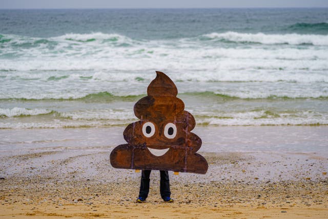 <p>An anti-sewage campaigner on Fistral Beach in north Cornwall</p>