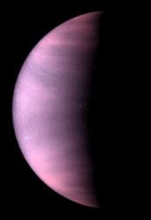 The clouds of Venus as seen by the Hubble Space Telescope