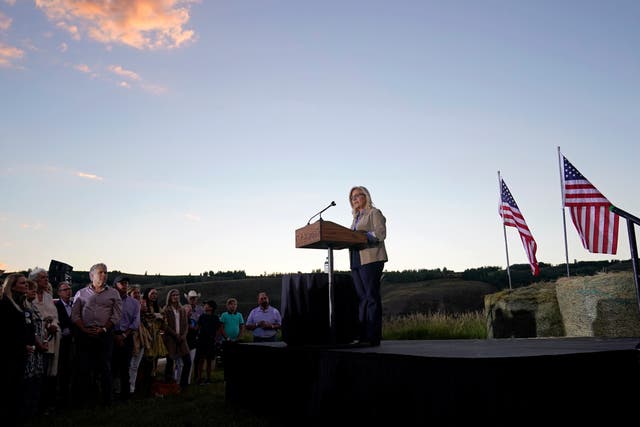 <p>Cheney speaks on the day of the primary election results </p>