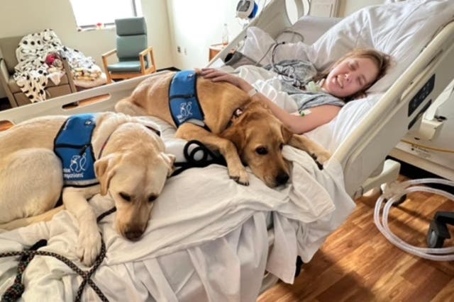 Caitlin Jensen, de 28 años, sufrió una disección arterial vertebral después de un ajuste de cuello de rutina en la oficina de un quiropráctico en Georgia en junio.
