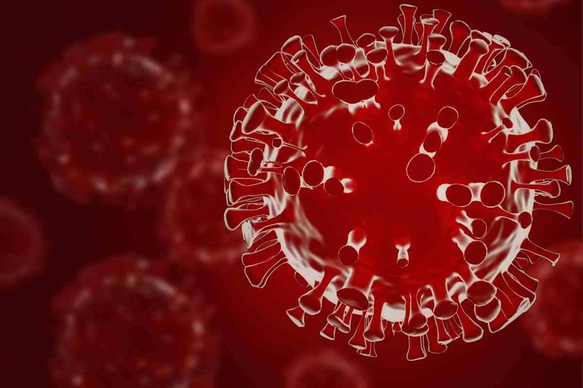 What’s the difference between Covid variants Pirola and Eris? All you need to know | The Independent