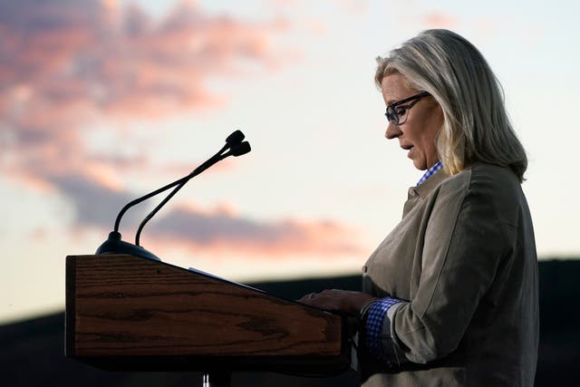 <p>Rep. Liz Cheney speaks at her primary election night event </p>