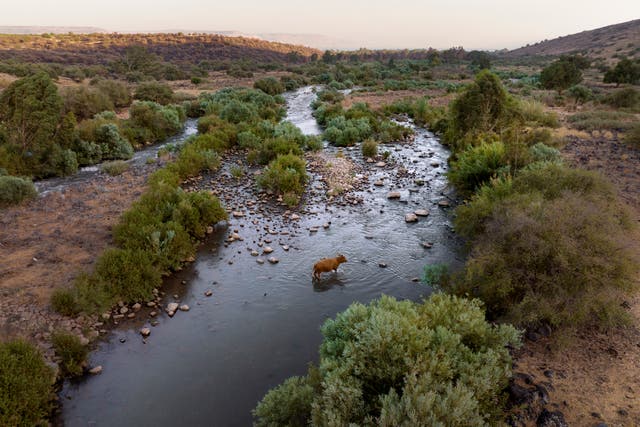 Sacred Rivers-Jordan River