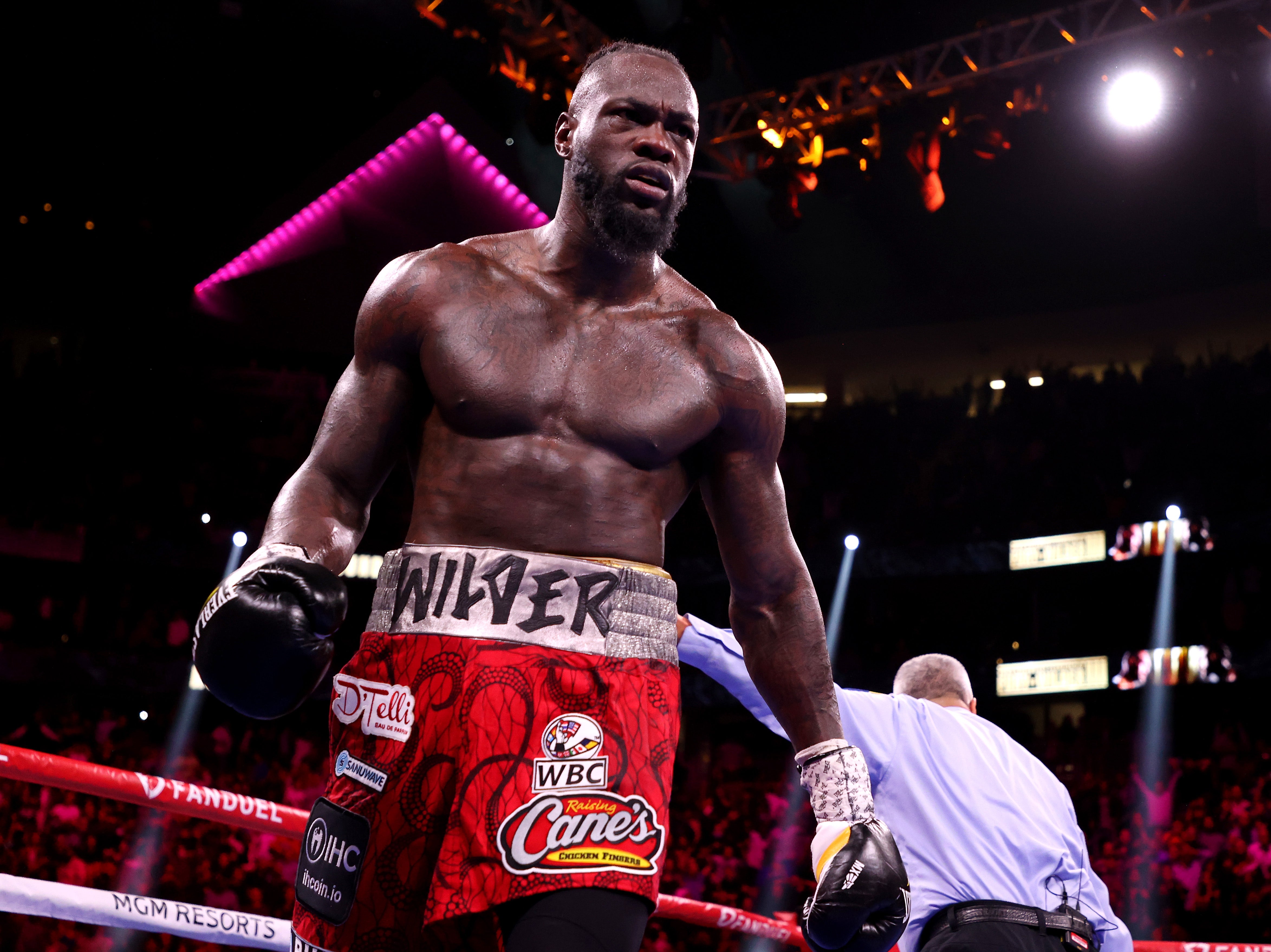 Former WBC heavyweight champion Wilder will make his return in October