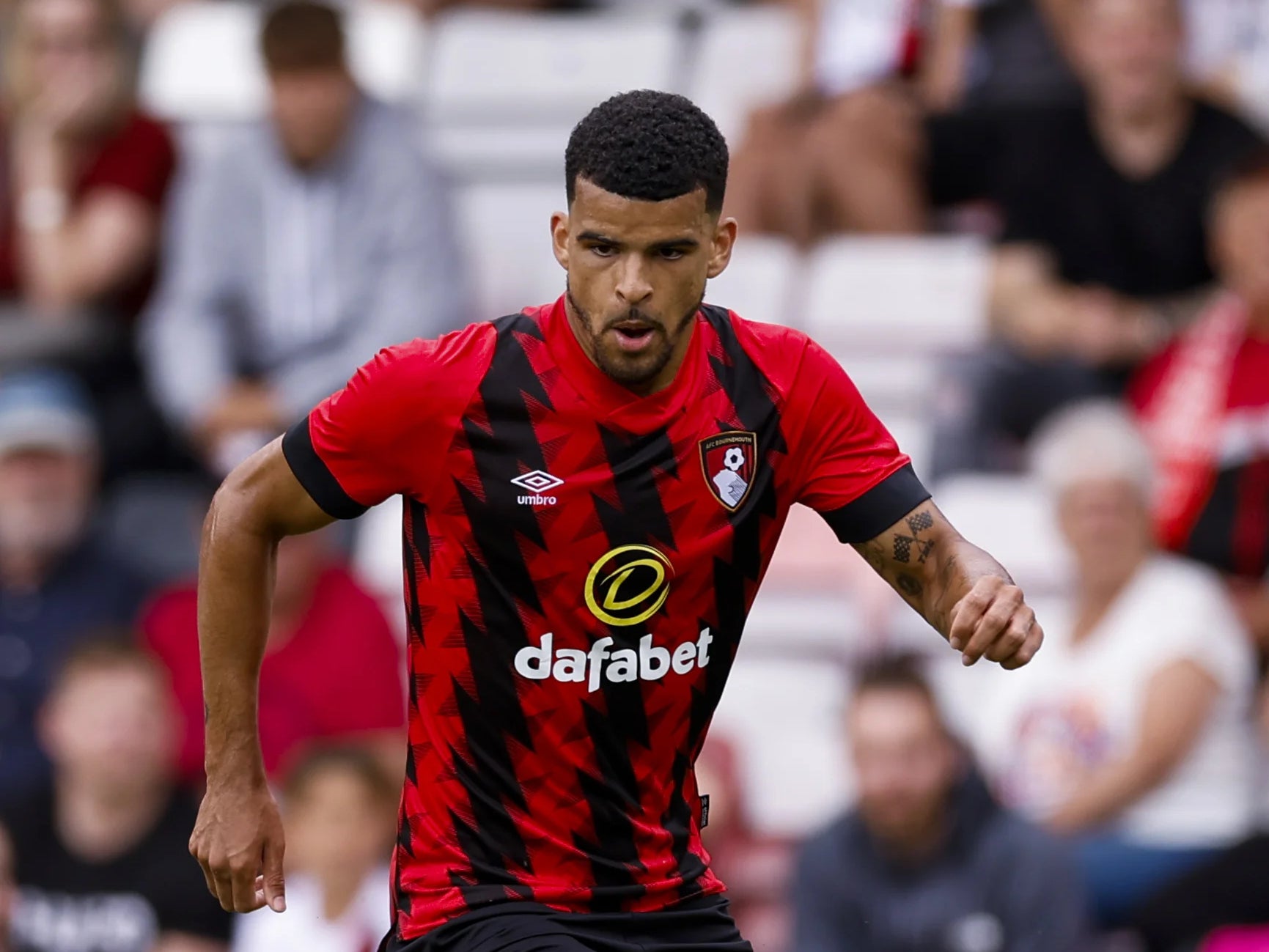 Bournemouth striker Dominic Solanke missed last weekend’s heavy loss at champions Manchester City