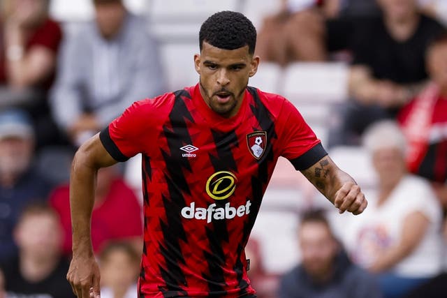 Bournemouth striker Dominic Solanke missed last weekend’s heavy loss at champions Manchester City