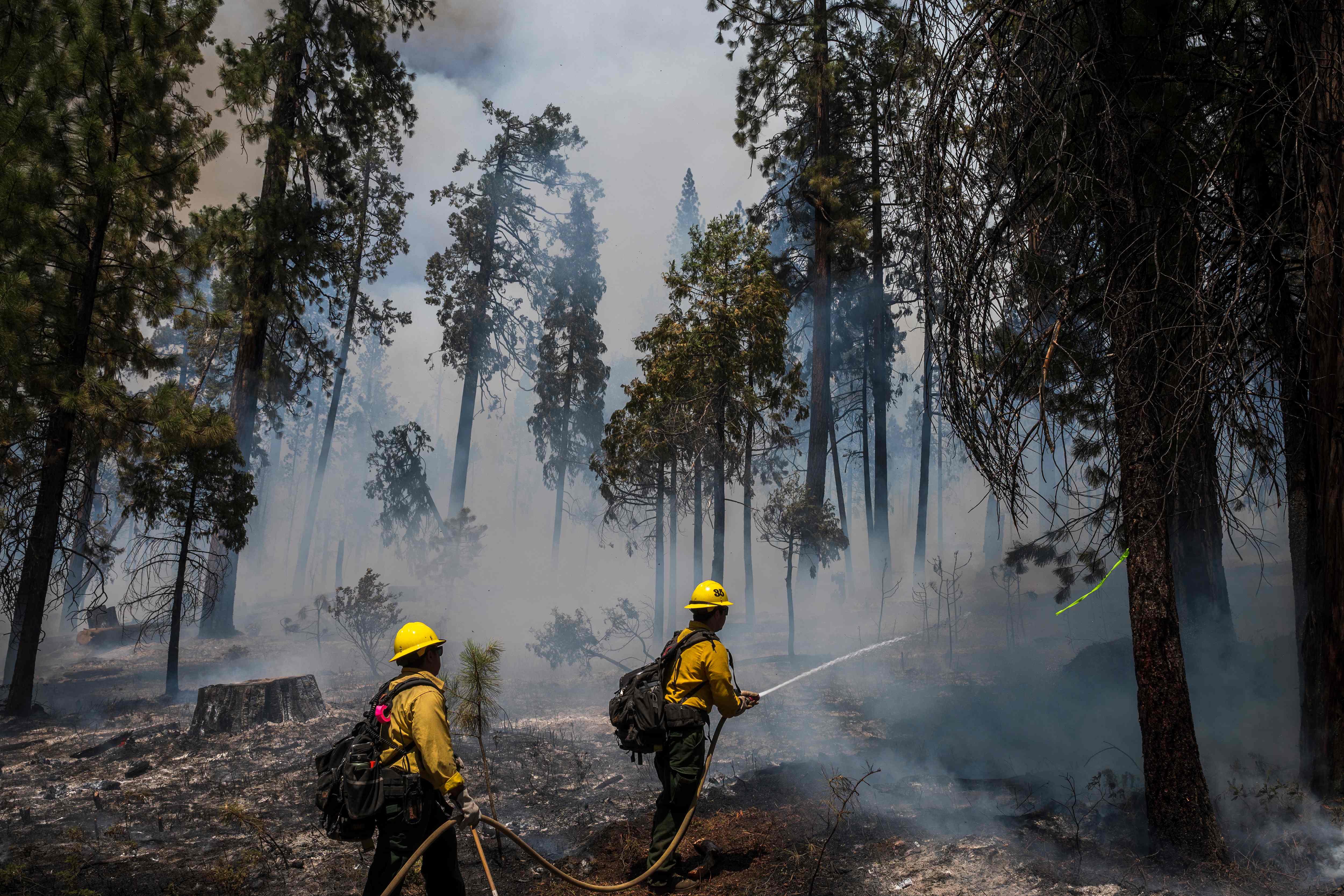 Firefighters battle the Washburn Fire in Yosemite National Park last month. Officials cited prescribed burns as a reason the area’s sequoia trees emerged unharmed