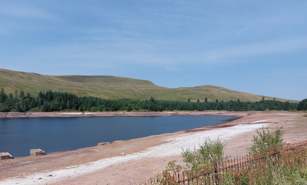 Drought declared in part of Wales after heatwave and low rainfall