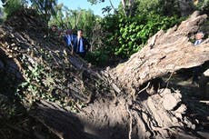 Three children among 13 killed after storms sweep across Europe