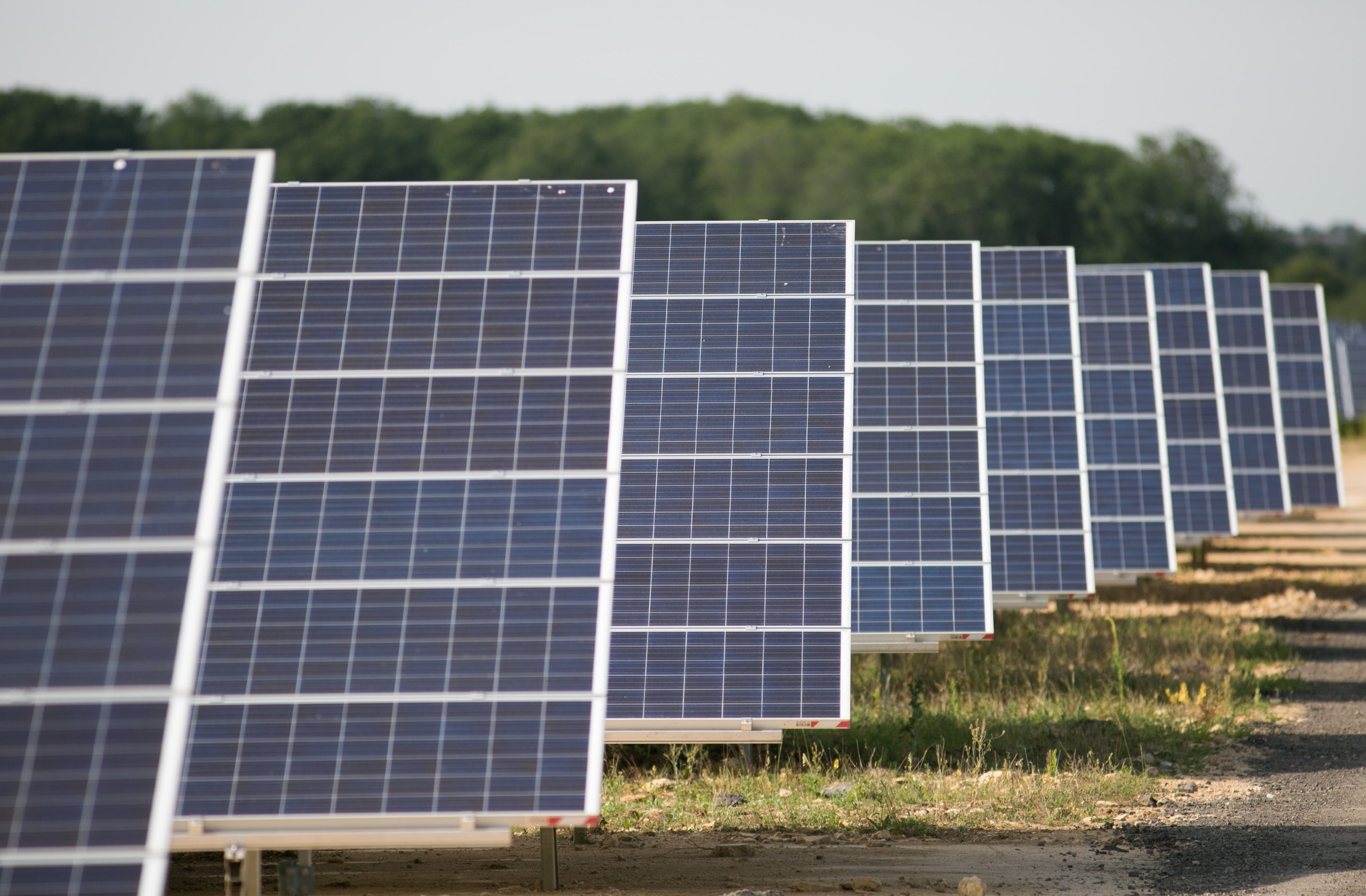 The Green Alliance said land used for solar farms could be used to grow crops at the same time (Daniel Leal-Olivas/PA)
