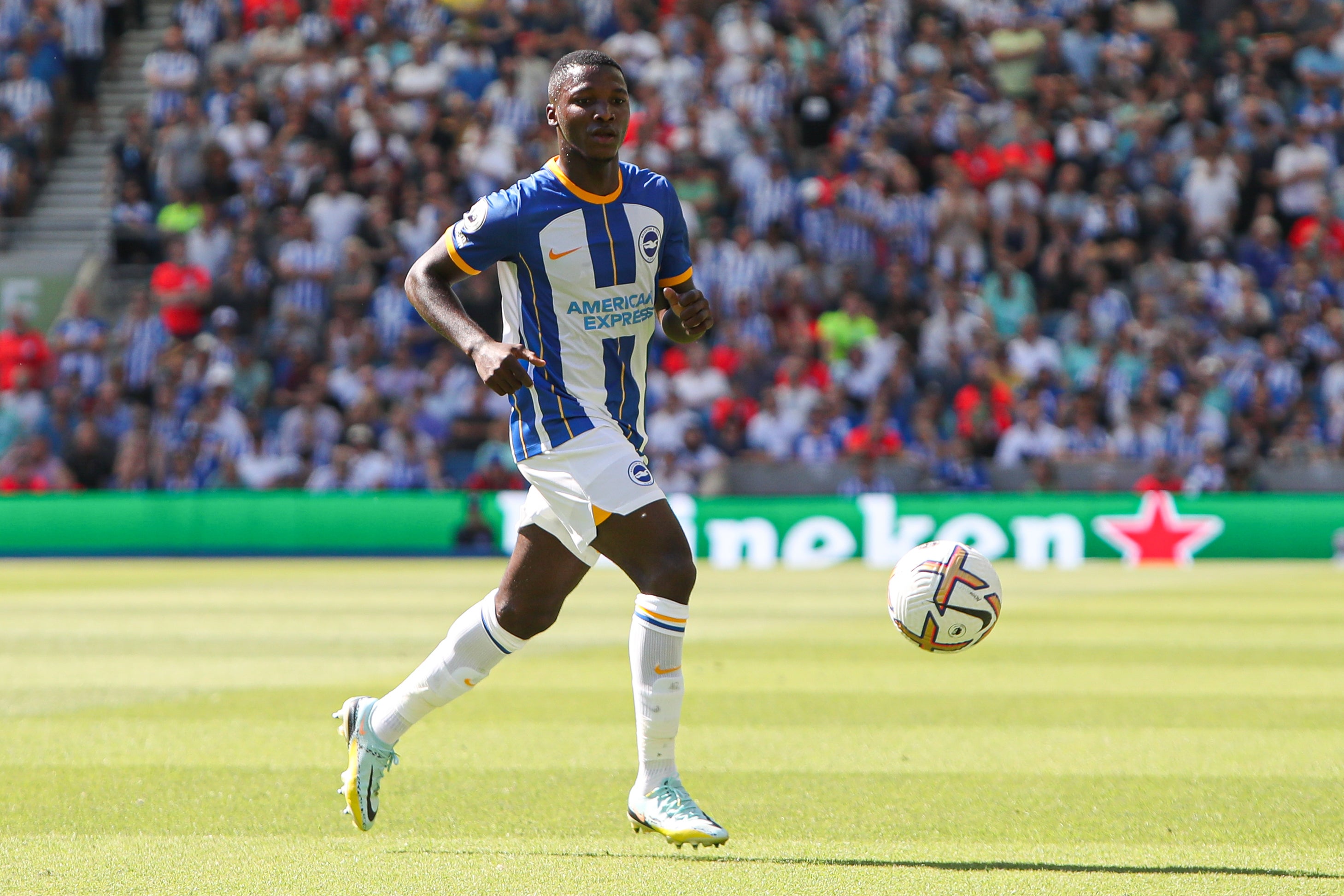 Brighton have high hopes for Moises Caicedo (Kieran Cleeves/PA).