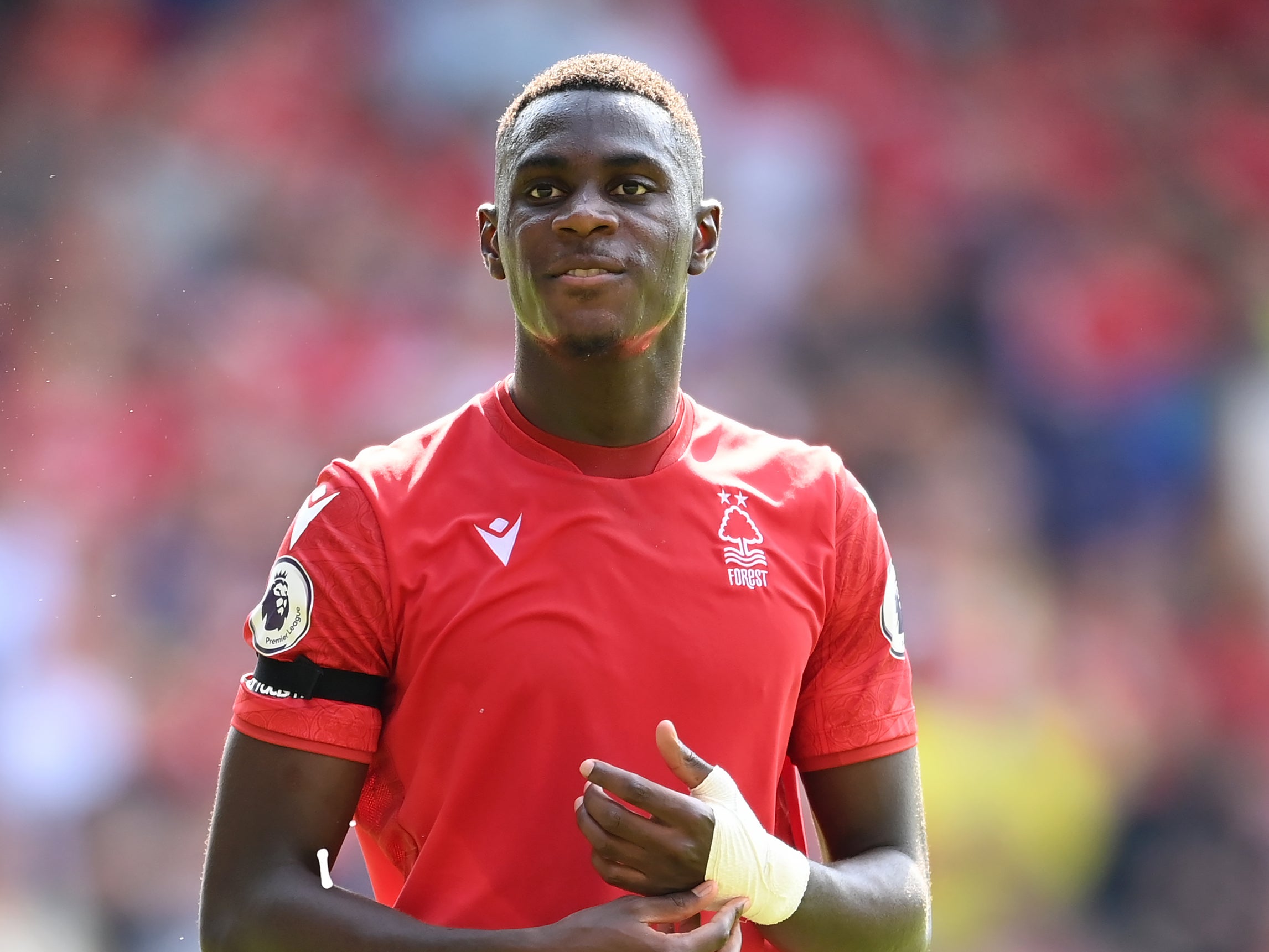 Nottingham Forest transfer news: Reds target 17th summer signing with  Moussa Niakhate ruled out for months | The Independent