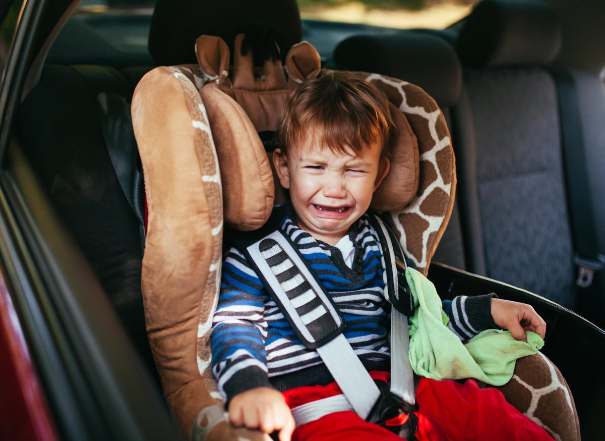 Are we there yet? Maths expert creates formula to predict backseat tantrums