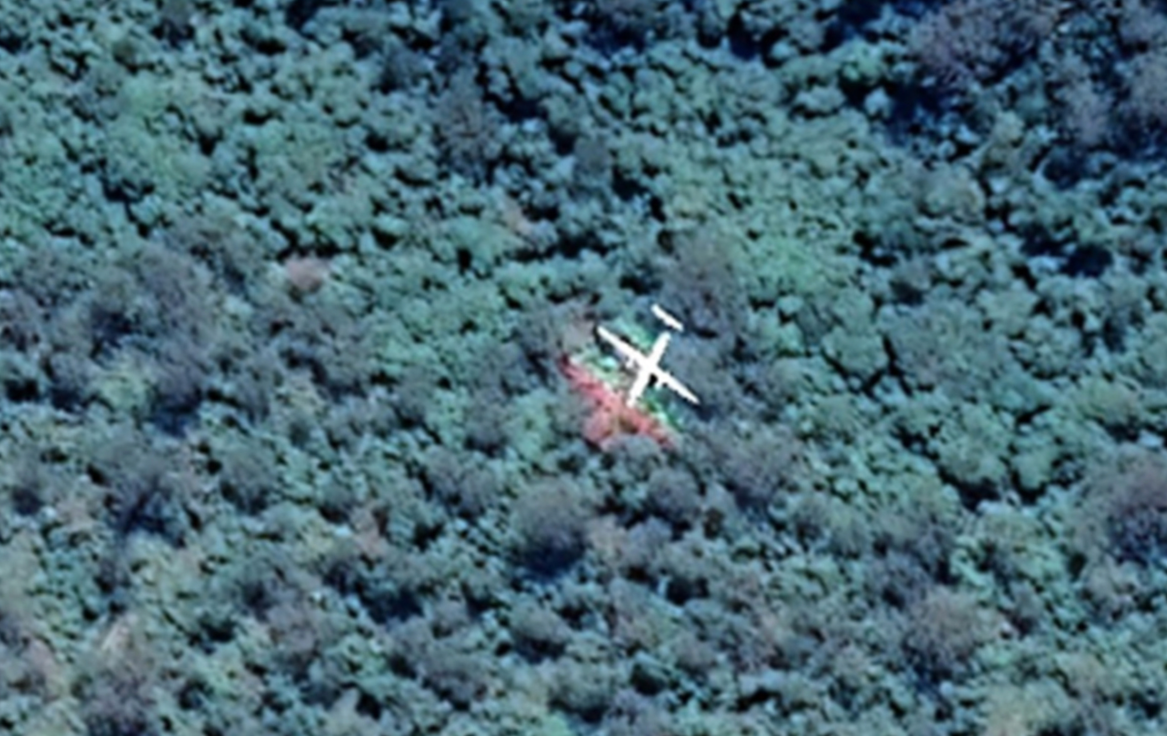 <p>Google Maps image of plane above Australian forest</p>