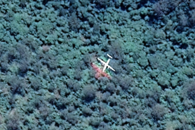 <p>Google Maps image of plane above Australian forest</p>