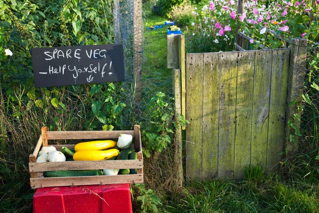 Be more sustainable in the garden (Alamy/PA)