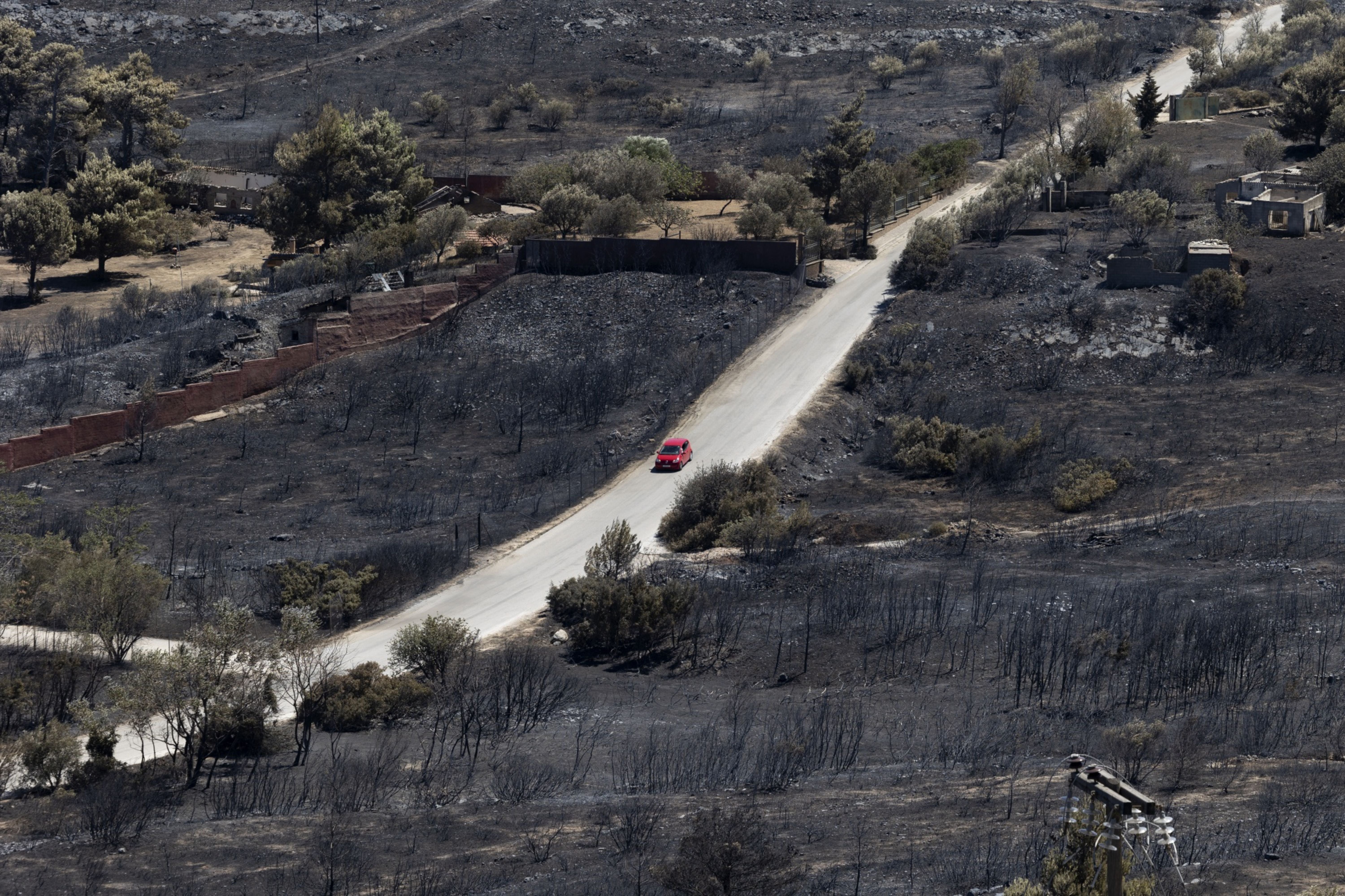 A vehicle travels along a road through burnt vegetation following a wildfire in Drafi, northeast of Athens