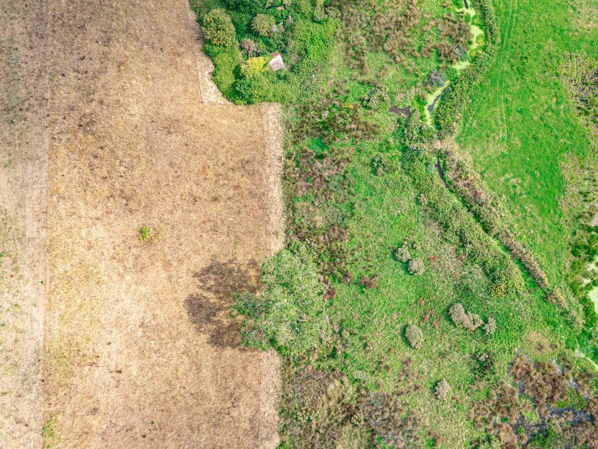 Drone photos show ‘incredible’ impact of beavers during drought