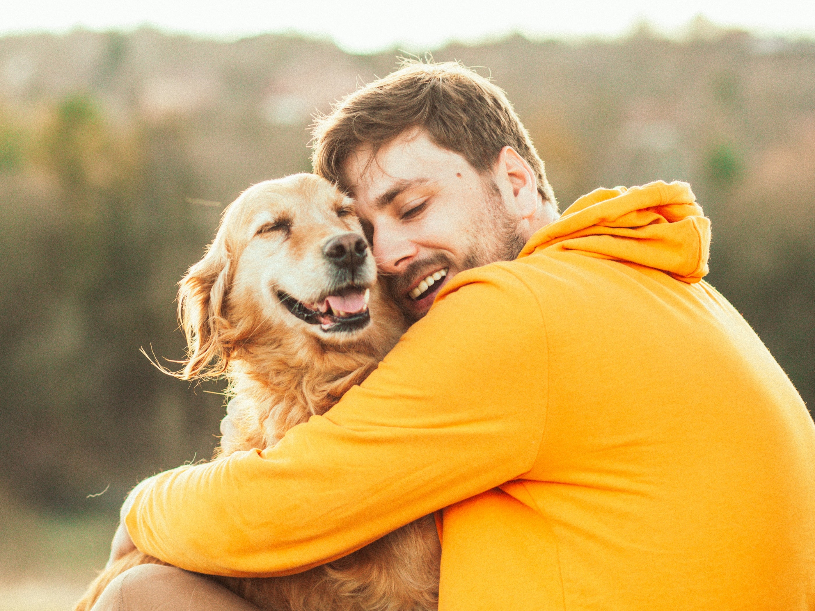 Real-life Lassies! Study shows dogs really will rush to help their owners  when they cry