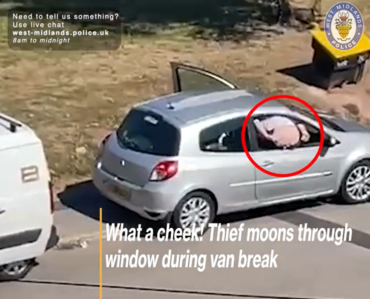 Video of &lsquo;mooning&rsquo; crook issued as cops hunt for tool theft gang