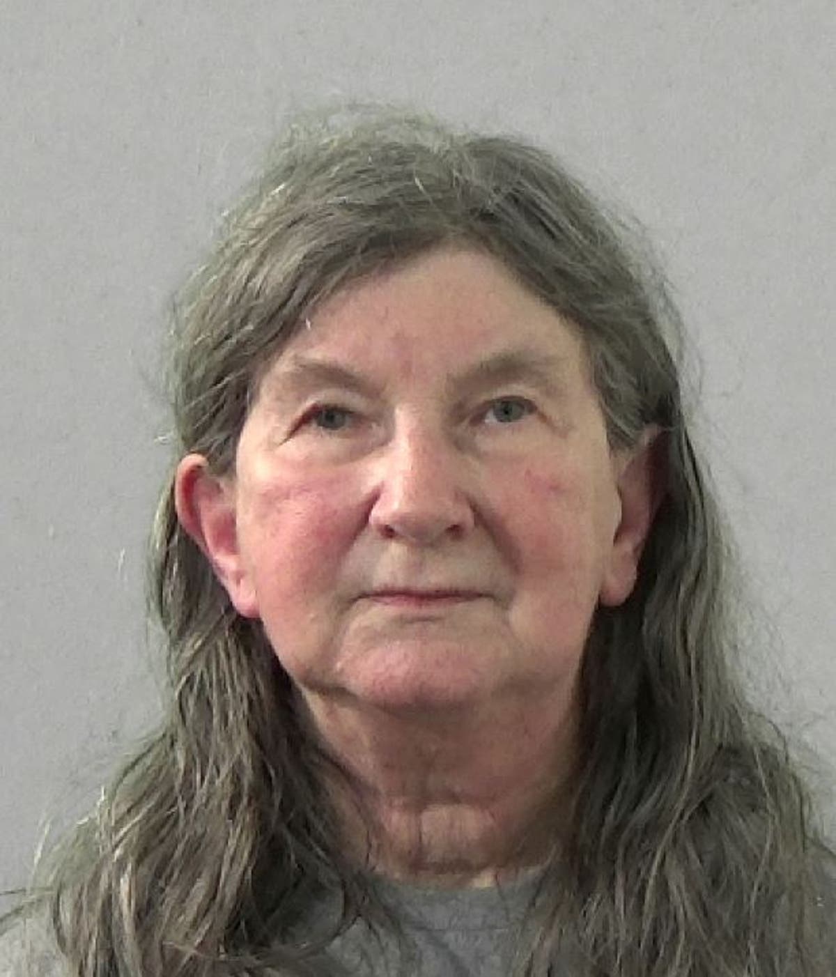 Dunn Woman, 73, pleads guilty to manslaughter of 81 yearold