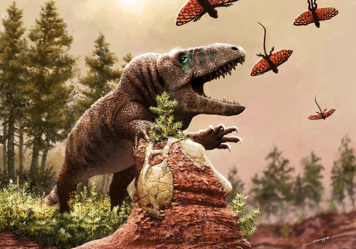 The rapid evolution of reptiles began much earlier than scientists initially thought