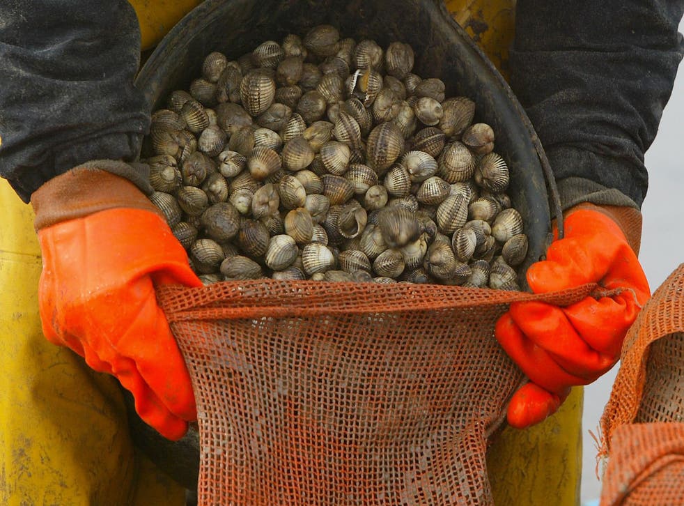 Shellfish ‘forgotten victims’ of sewage polluting UK waters say Lib ...