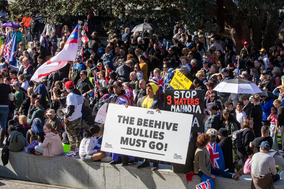 Anti-mandate protesters converge on New Zealand Parliament
