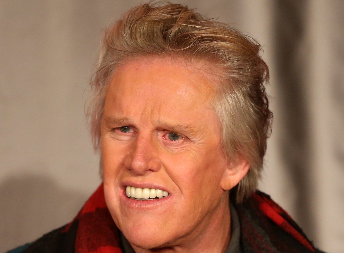 Gary Busey caught pulling his pants down in public days after being charged with sex offences