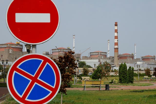 <p>The Zaporizhzhia nuclear power plant is now in Russian-held territory </p>