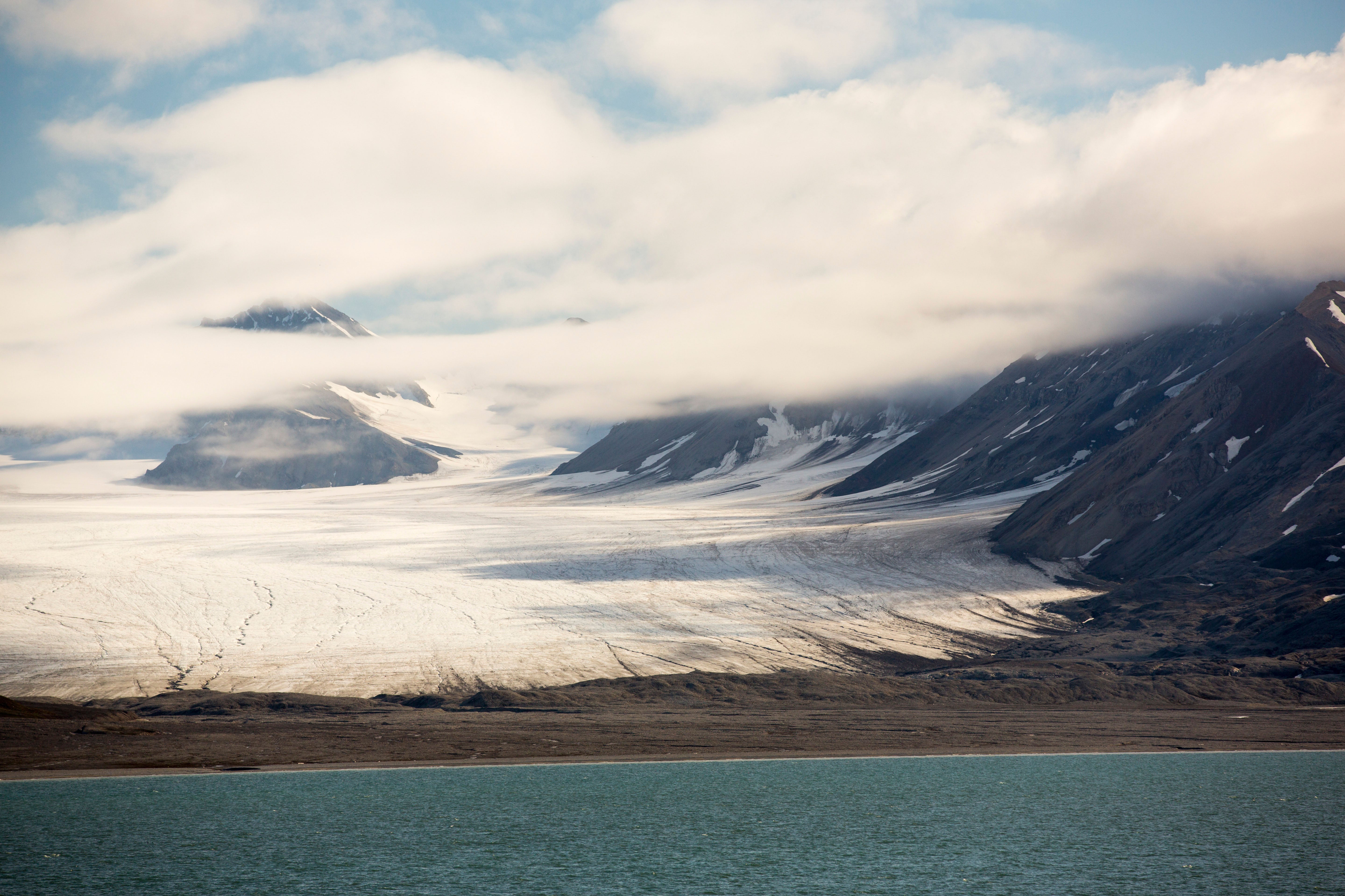 Keep an eye out for seals and beluga whales on your cruise through the glaciers of Svalbard