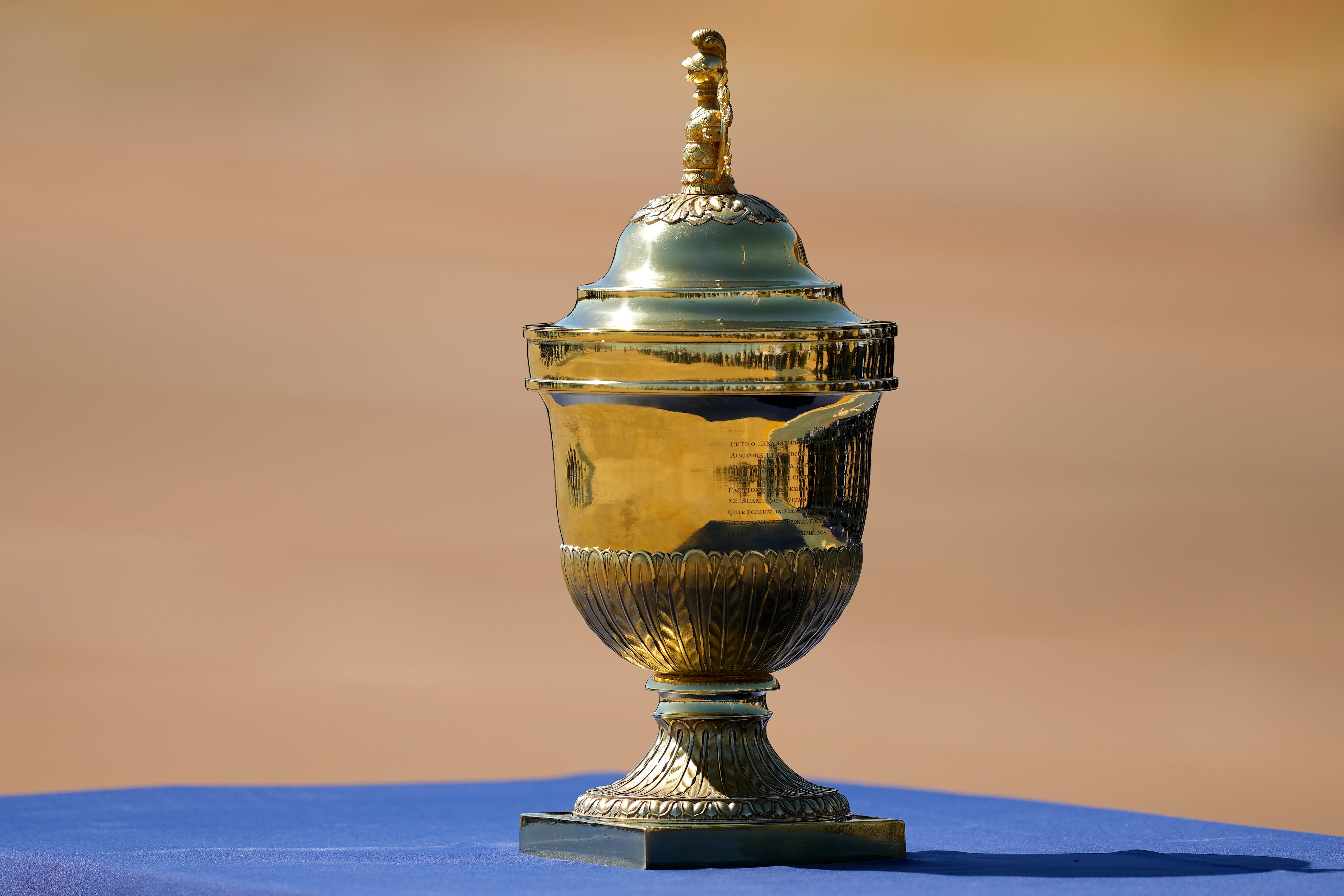 Brazil Emperor Heart