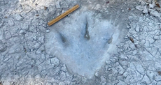 Dinosaur footprints revealed by drought from 113 million years ago