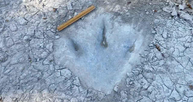 <p>A dinosaur footprint revealed by drought in Texas</p>