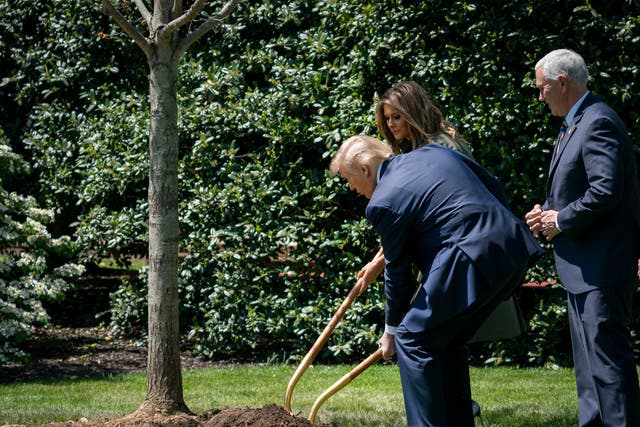 <p>President Donald Trump and first lady Melania Trump participate in a tree planting ceremony in recognition of Earth Day and Arbor Day on the South Lawn of the White House on April 22, 2020 in Washington, DC</p>
