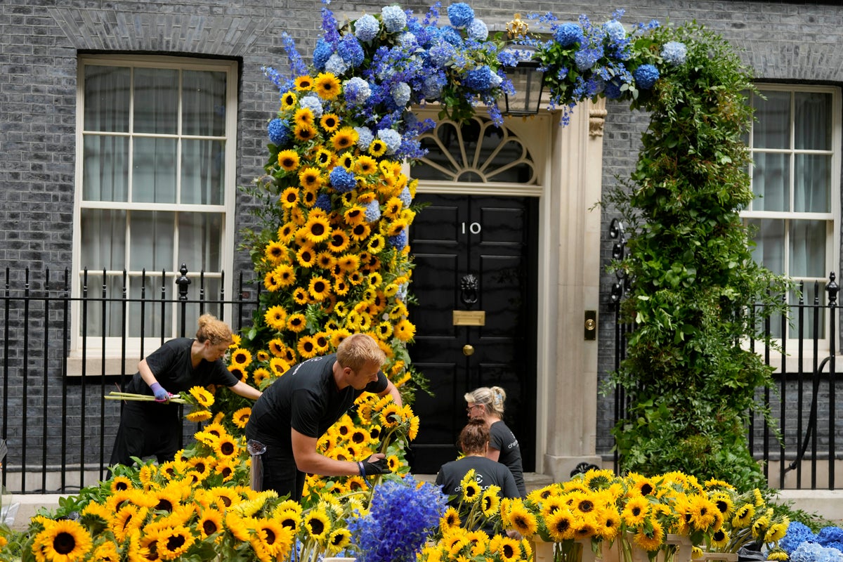UK shows Ukraine solidarity with sunflower display