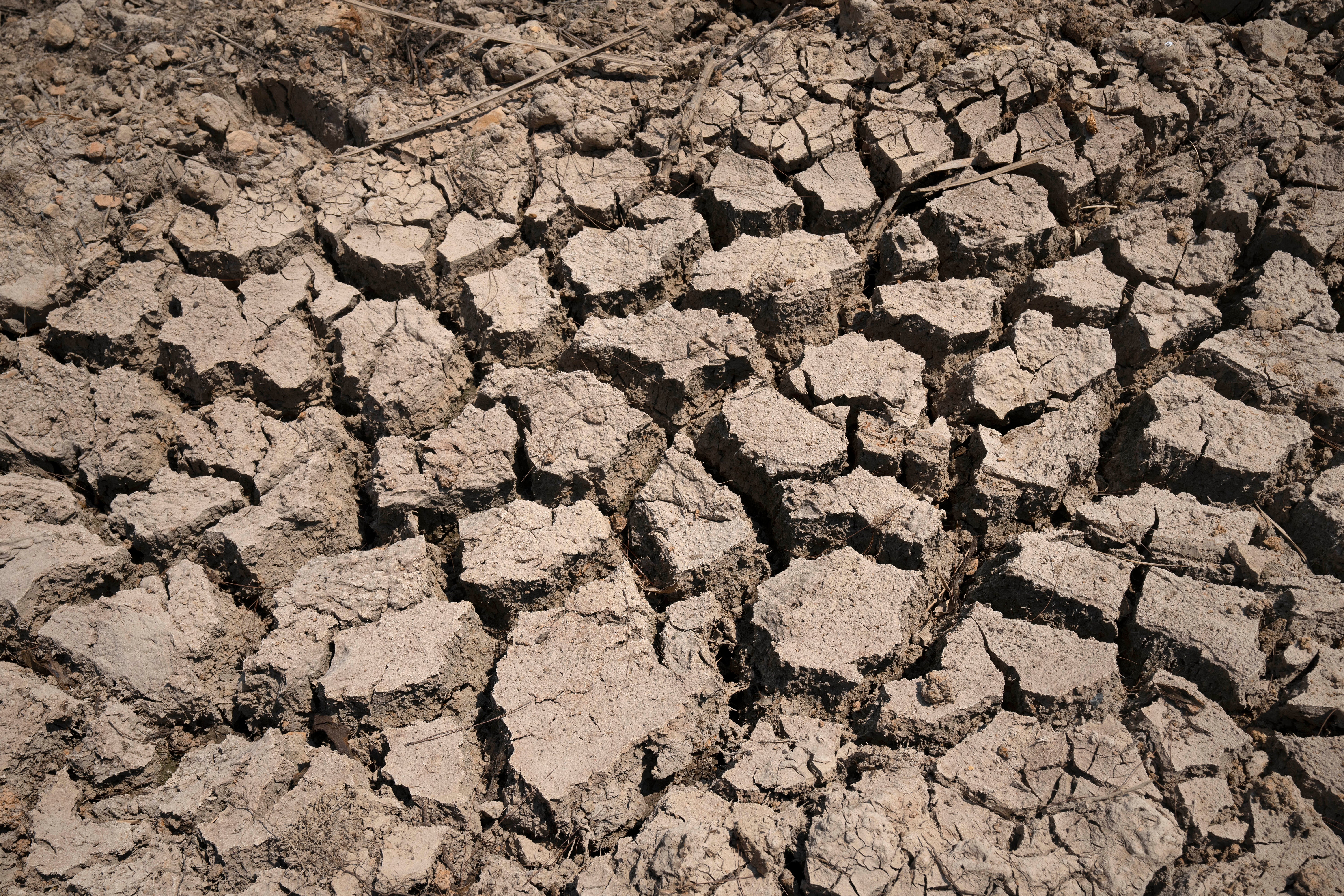 Cracked dry mud is seen in a community reservoir in Longquan village in southwestern China's Chongqing Municipality