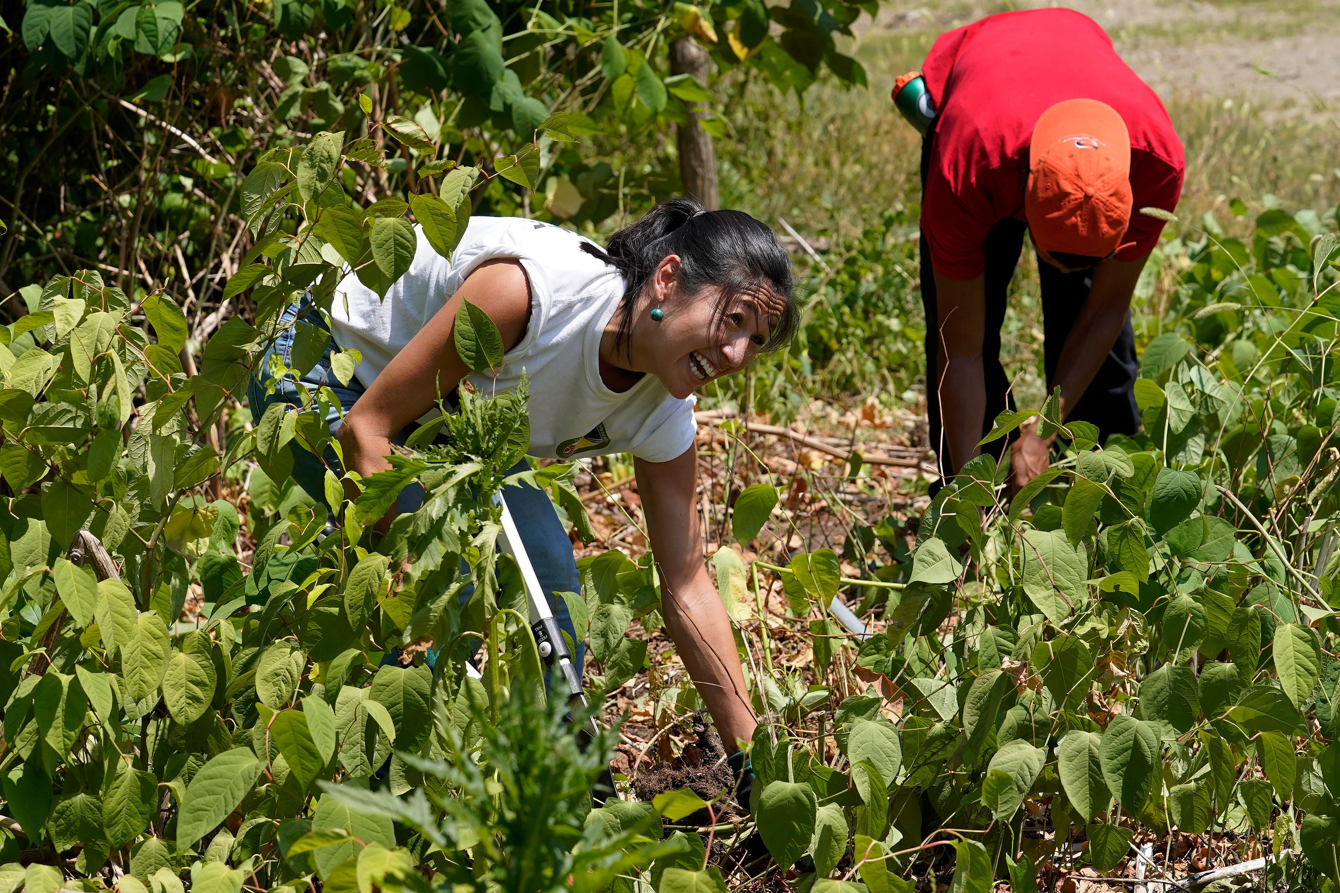 Restoring Native Lands