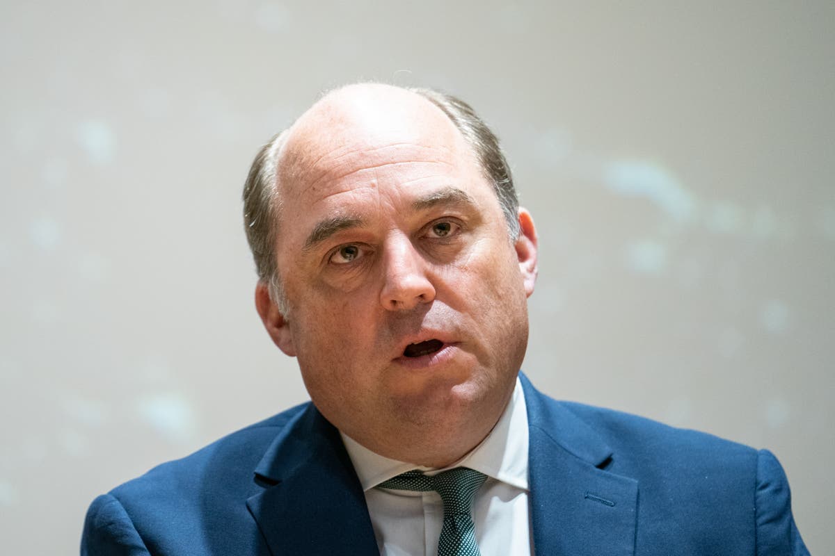 Ben Wallace says UK can &lsquo;certainly toughen up&rsquo; visa conditions for Russians