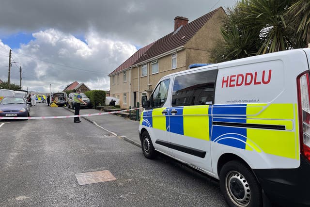 South Wales Police and forensic units at the scene where a 71-year-old woman was murdered outside her home on Tanycoed (Bronwen Weatherby/PA)
