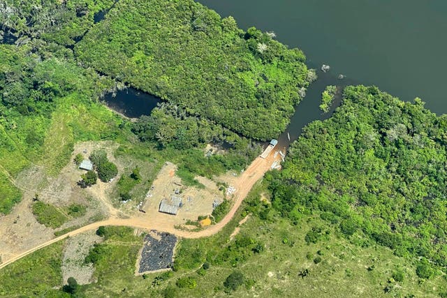 Brazil Rainforest Deforestation Road